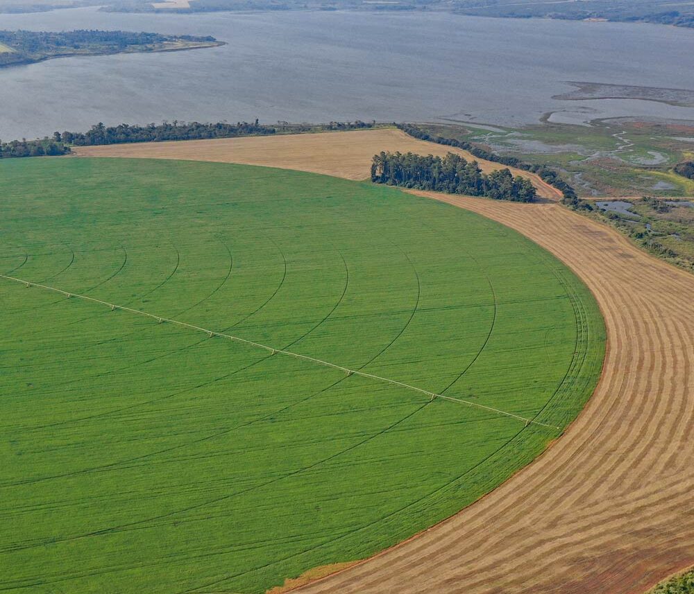 Irrigation (20)