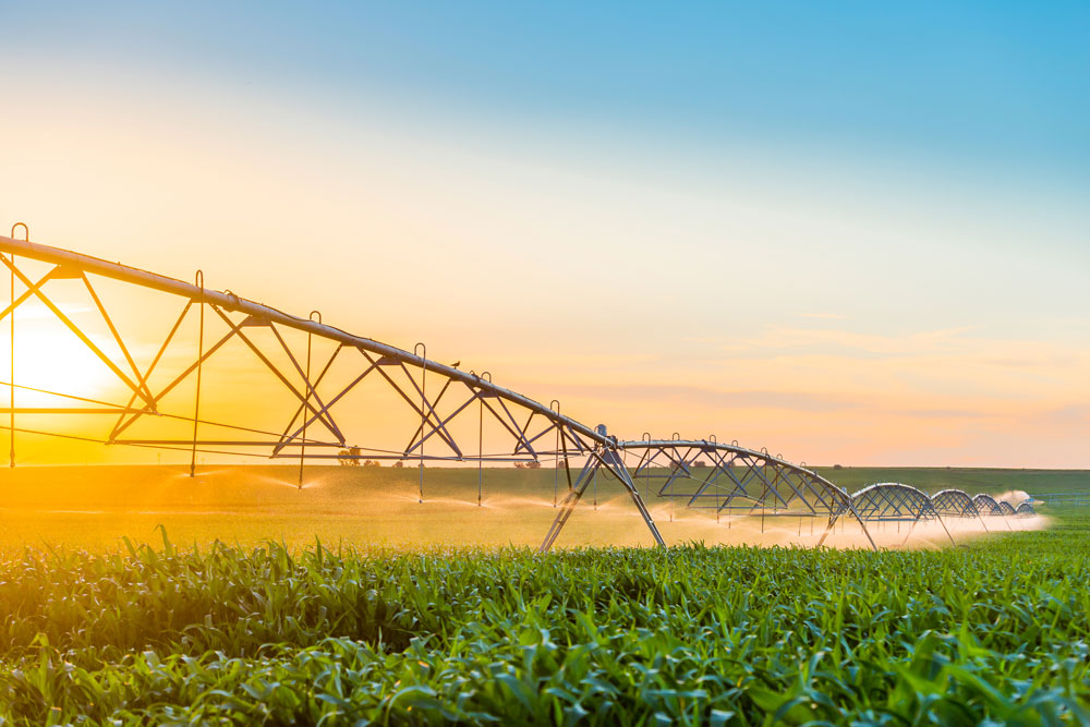 Maximizing Every Drop: Why Local Expertise Matters for Hemingford Irrigation Systems