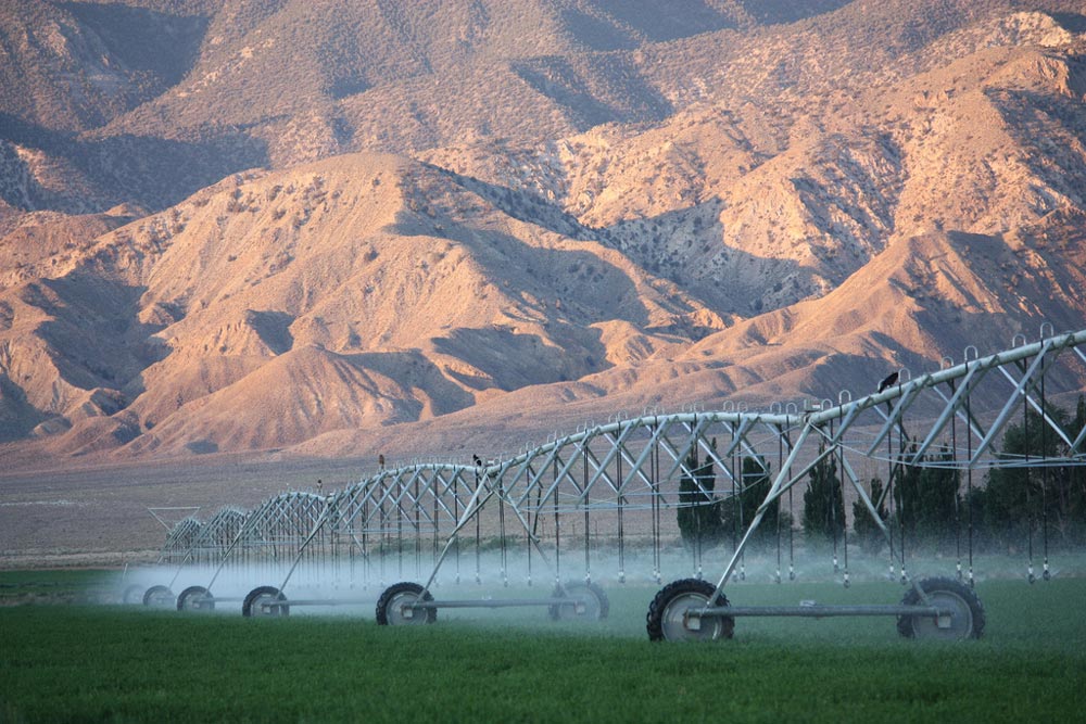 Maximizing Every Drop: Why Local Expertise Matters for Box Butte County Irrigation